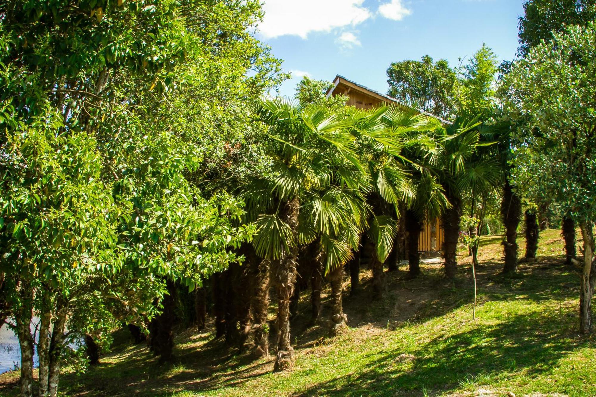 Cabana Gala Unica Exclusiva No Vale Das Macieiras Urubici Exterior photo
